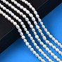 Grade AA Natural Cultured Freshwater Pearl Beads Strands, Rice