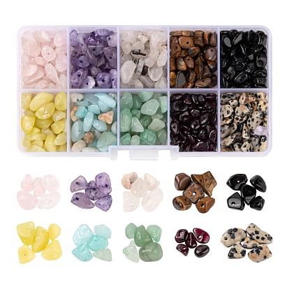 150G 10 Style Natural Gemstone Beads, Chip