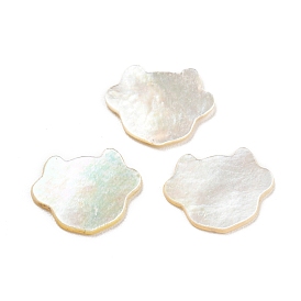 Natural Sea Shell Cabochons, Animal