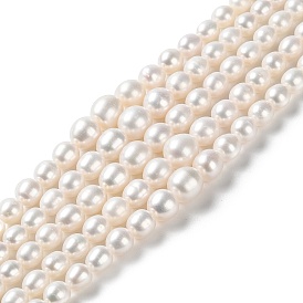 Natural Cultured Freshwater Pearl Beads Strands, Gradient Potato
