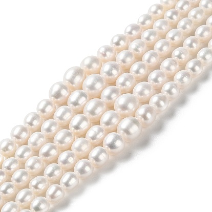 Natural Cultured Freshwater Pearl Beads Strands, Gradient Potato