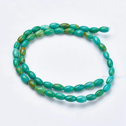 Natural Magnesite Beads Strands, Dyed, Rice