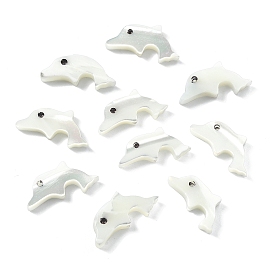 10Штуки из натуральной раковины трохида / бусины из раковины троха, дельфин