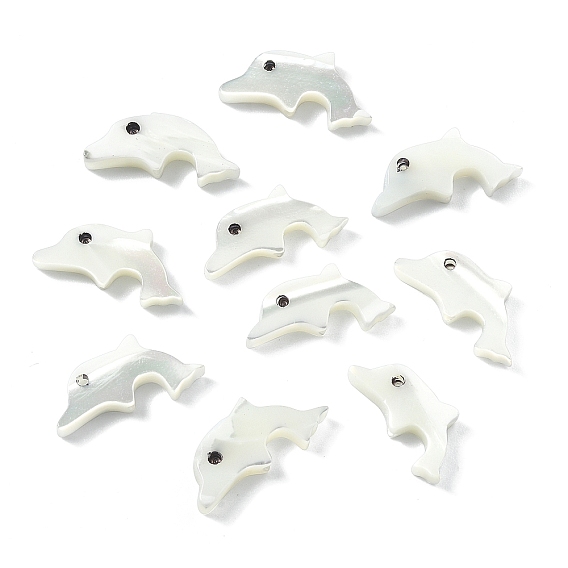 10Штуки из натуральной раковины трохида / бусины из раковины троха, дельфин