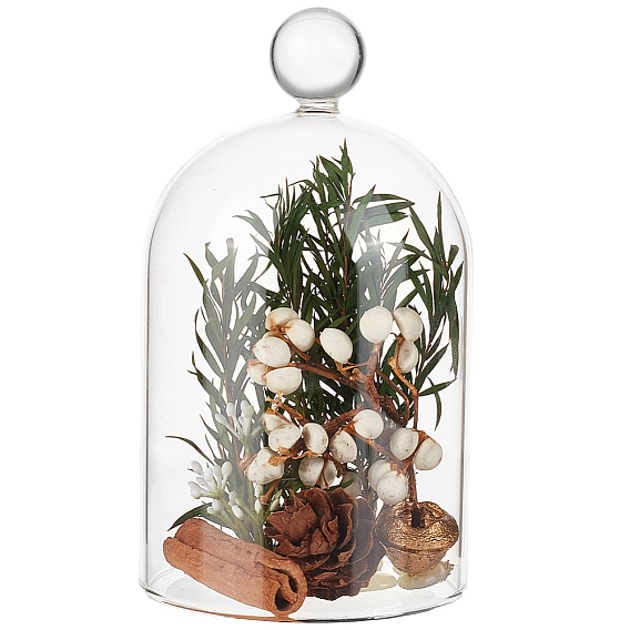Arch Glass Dome Cover, Decorative Display Case, Cloche Bell Jar