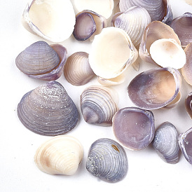 Clam Shell Beads, Undrilled/No Hole Beads