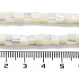 Natural Trochus Shell Beads Strands, Cube