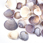 Clam Shell Beads, Undrilled/No Hole Beads