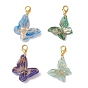 4шт 4 цвета бабочка ацетат целлюлозы (смола) подвеска украшение, Сплав с застежками когтя омара