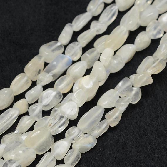 Natural Rainbow Moonstone Beads Strands, Tumbled Stone, Nuggets