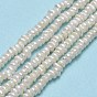 Natural Cultured Freshwater Pearl Beads Strands, Flat Round