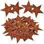 Rust Iron Pendants, Star