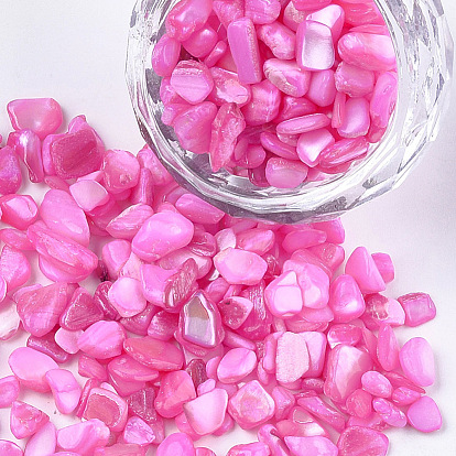 Shell Beads, For Nail Art Decoration Accessories, No Hole/Undrilled, Dyed, Chips