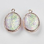 Resin Pendants, with Brass Findings, Oval, Light Gold