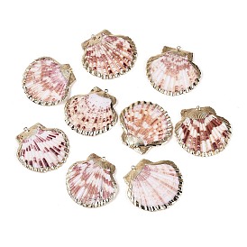 Подвески из натуральных морских ракушек, покрытые гальваническим способом, подвески в форме ракушек, с медными петлями, золотые