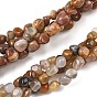 Natural Petrified Wood Beads Strands, Nuggets, Tumbled Stone
