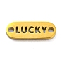 304 Stainless Steel Oval Connector Charms, Word Lucky Links