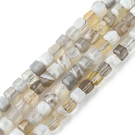 Natural Botswana Agate Beads Strands, Faceted, Cube