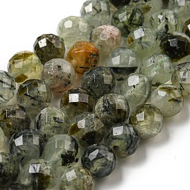 Natural Prehnite Beads Strands, Faceted, Round