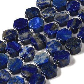 Natural Lapis Lazuli Beads Strands, Hexagon, with Seed Beads