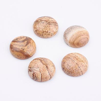 Natural Picture Jasper Cabochons, Half Round/Dome