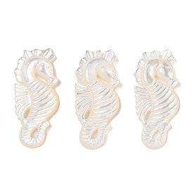 Natural White Shell Carved Pendants, Sea Horse Charms