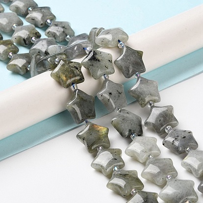 Natural Labradorite Beads Strands, with Seed Beads, Star