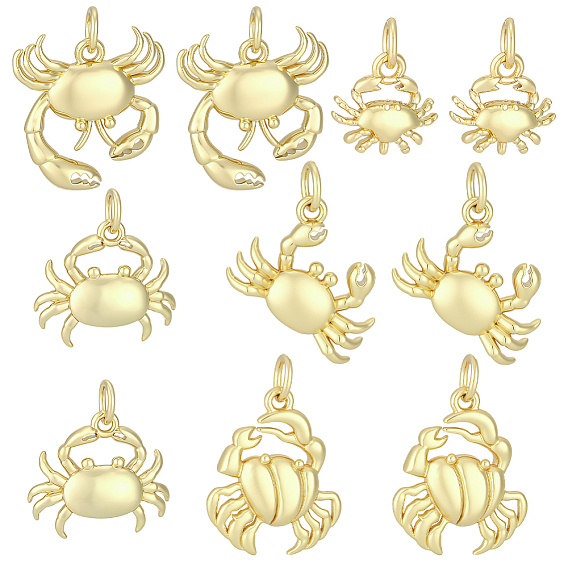 10 pcs 5 styles pendentifs en laiton, breloques animaux marins, sans cadmium et sans plomb, crémaillère plaquage, plaqué longue durée, avec anneau de saut