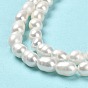Natural Cultured Freshwater Pearl Beads Strands, Rice, Grade A