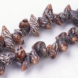 Naturelles en spirale de Shell brins de perles, conque