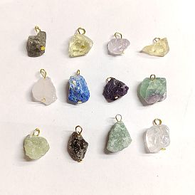 12Pcs 12 Styles Raw Rough Natural Gemstone Pendants, Nuggets Charms with Golden Plated Iron Loops