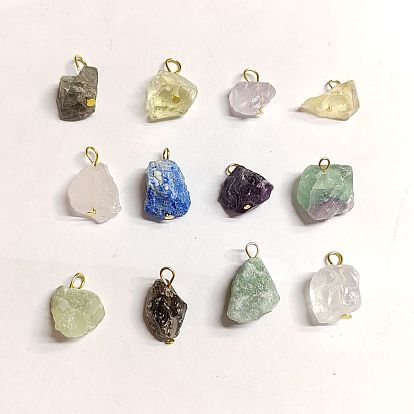 12Pcs 12 Styles Raw Rough Natural Gemstone Pendants, Nuggets Charms with Golden Plated Iron Loops