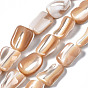 Natural Trochid Shell/Trochus Shell Beads Strands, Nuggets