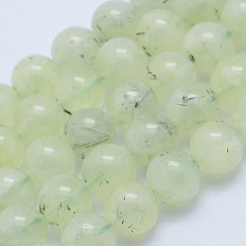 Natural Prehnite Beads Strands, Round, Grade A-