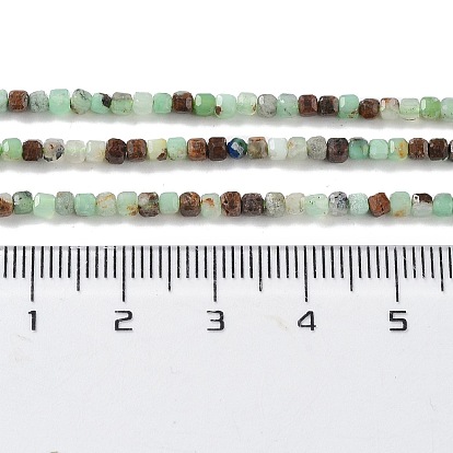 Brins naturels de perles de chrysoprase, cube, facette