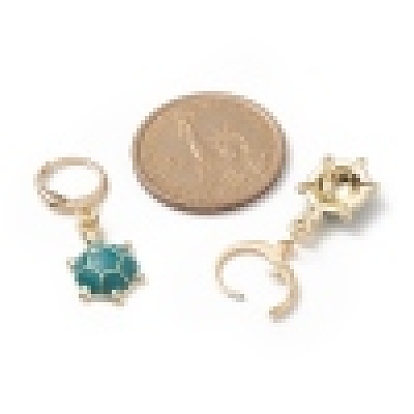 5 Pairs 5 Color Alloy Enamel Tortoise Dangle Leberback Earring, Golden 304 Stainless Steel Jewelry for Women