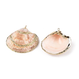 Natural Scallop Shell Pendants, Shell Shaped Charms with Golden Tone Iron Loops