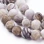 Natural Petrified Wood Beads Strands, Frosted, Round