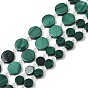 Природного малахита бисер нитей, плоско-круглые
