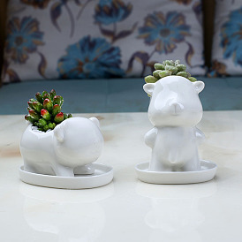 Creative ceramic succulent flower pot office desk cute cartoon bear flower pot flower pot