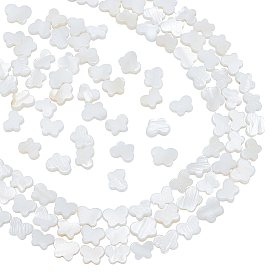 3 Strands Natural Freshwater Shell Beads Strands, Butterfly