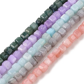 Natural Freshwater Shell Dyed Beads Strands, Faceted Table Cut Cube