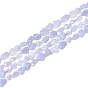 2 Strands Natural Blue Lace Agate Beads Strands, Tumbled Stone, Dyed, Nuggets