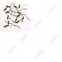 Iron Earring Hooks, Ear Wire, French Hooks with Coil and Ball, Cadmium Free & Lead Free
