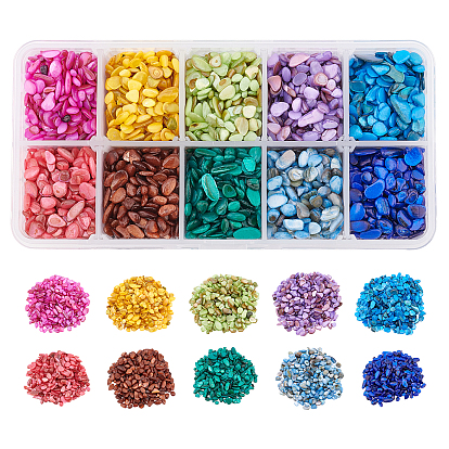 10 Colors Natural Shell Beads, No Hole Beads, Dyed, Chip