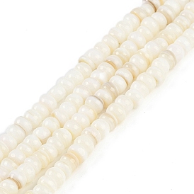 Natural Freshwater Shell  Beads Strands, Rondelle