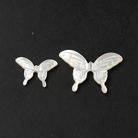 Perles naturelles de coquillages blancs, papillon
