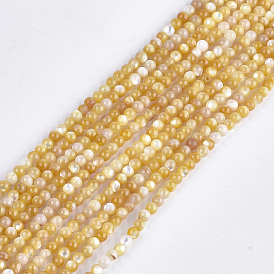 Yellow Shell Beads Strands, Round