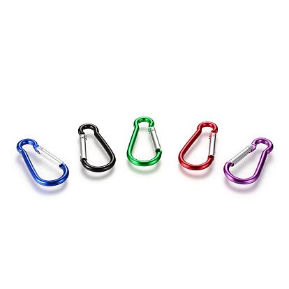 Aluminum Rock Climbing Carabiners, Key Clasps, with Iron Findings