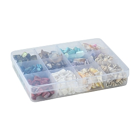 198g 11 styles ensembles de perles de coquillages naturelles mélangées, mélangé teint et non teint, formes mixtes